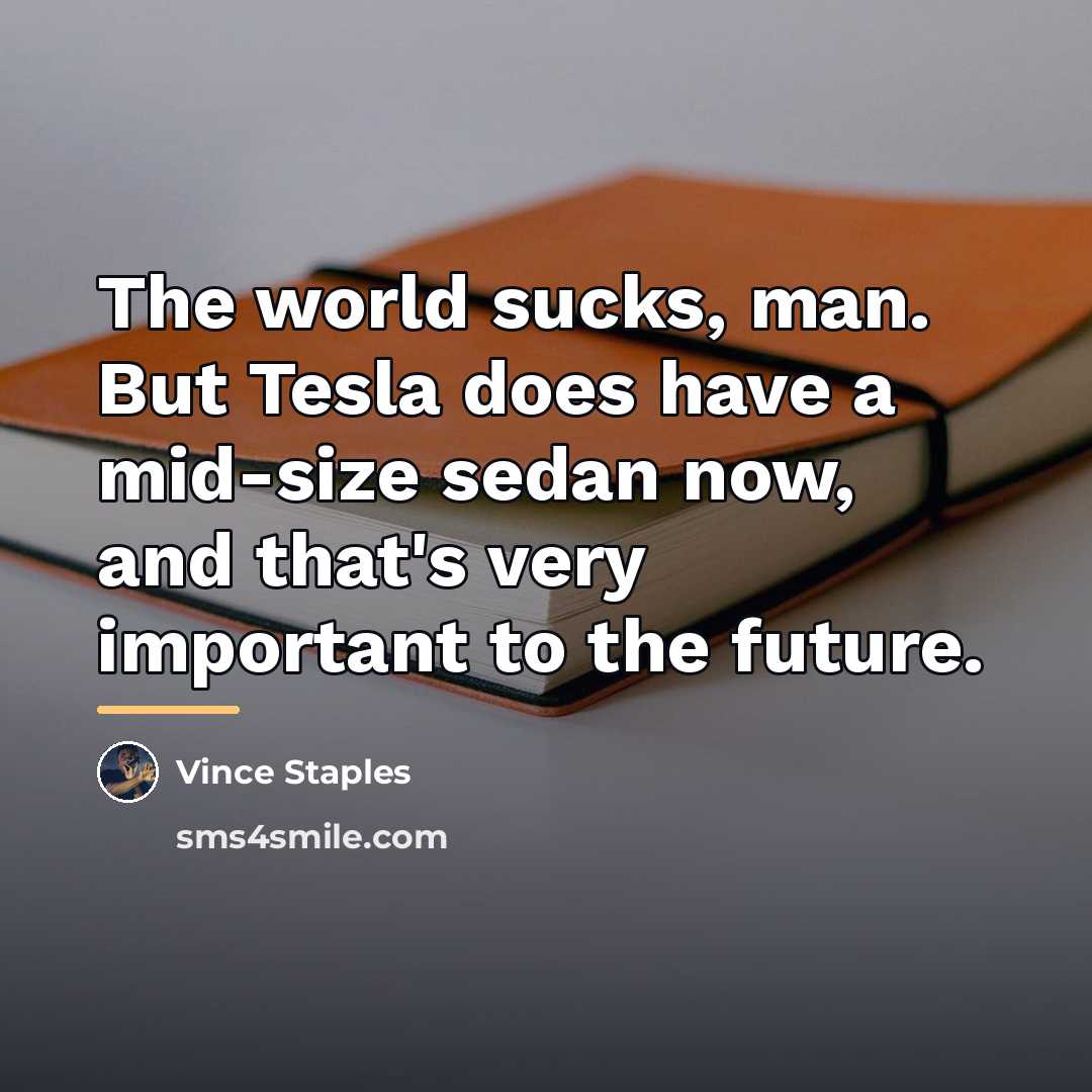 “The world sucks, man. But Tesla does have a mid-size…” quote by Vince Staples
