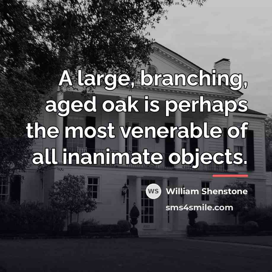 “A large, branching, aged oak is perhaps the most venerable…” quote by William Shenstone