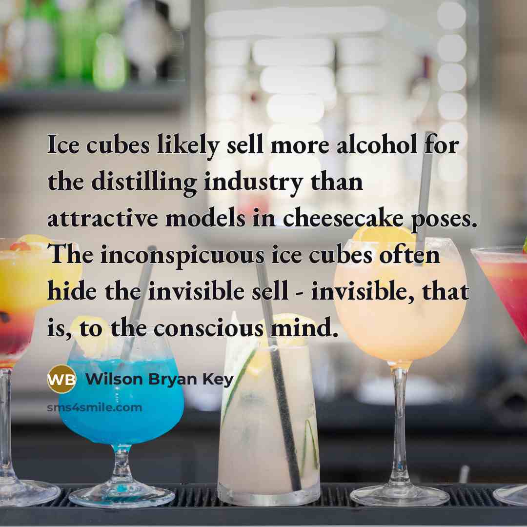 “Ice cubes likely sell more alcohol for the distilling industry…” quote by Wilson Bryan Key