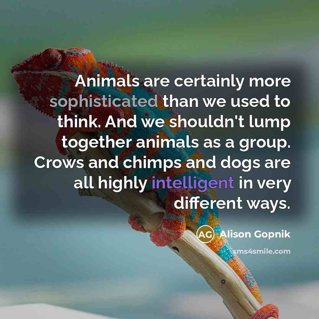 “Animals are certainly more sophisticated than we used to think.…” quote by Alison Gopnik