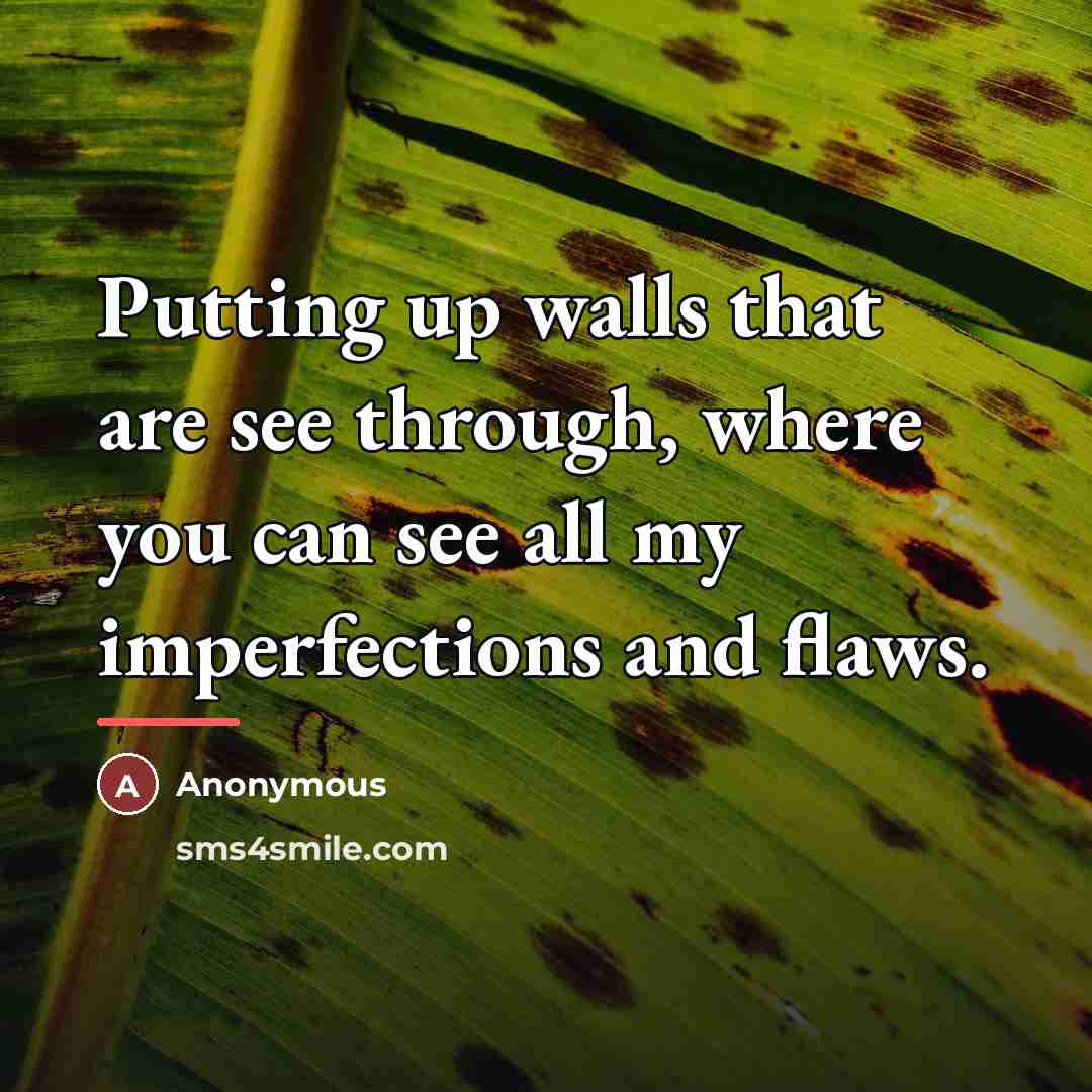 “Putting up walls that are see through, where you can…” quote by Anonymous
