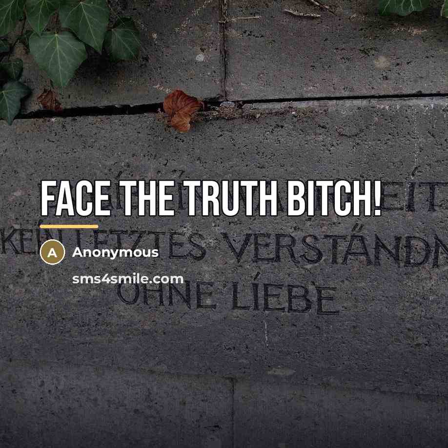 “Face the truth bitch!…” quote by Anonymous