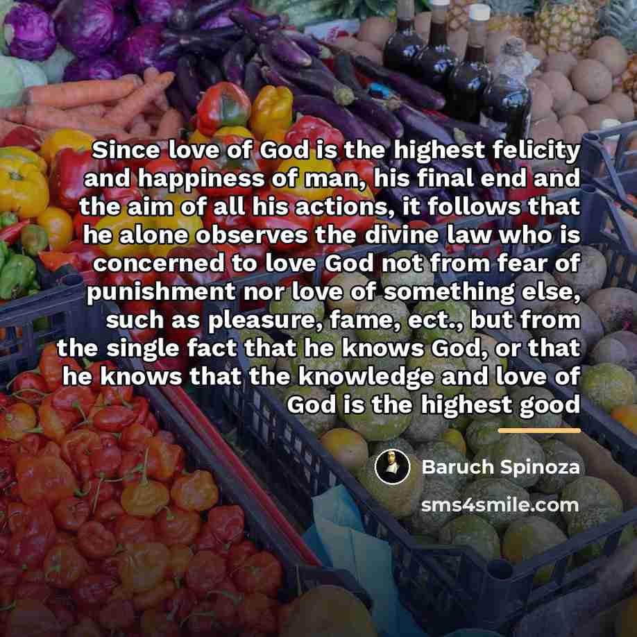 “Since love of God is the highest felicity and happiness…” quote by Baruch Spinoza