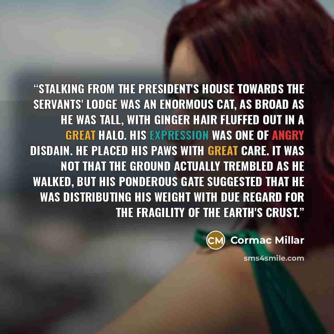 “Stalking from the President's House towards the Servants' Lodge was an enormous cat, as broad as he was tall, with ginger hair fluffed out in a great halo. His expression was one of angry disdain. He placed his paws with great care. It was not that the ground actually trembled as he walked, but…” quote by Cormac Millar