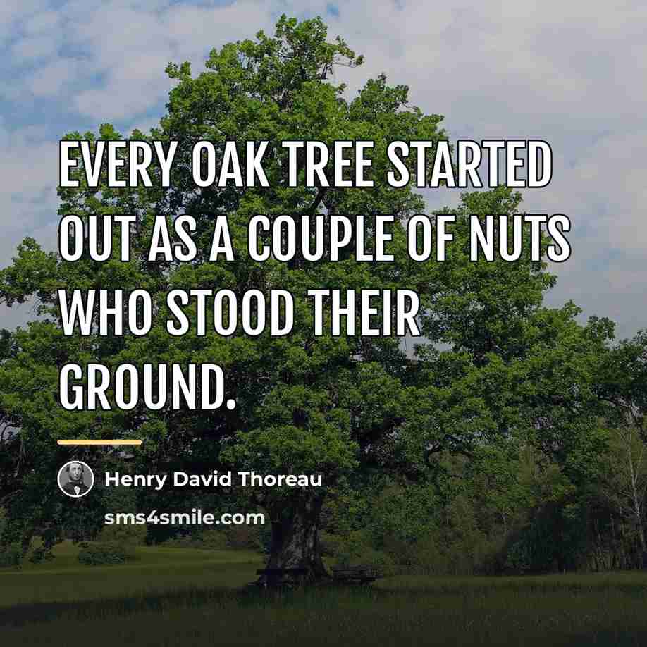 “Every oak tree started out as a couple of nuts…” quote by Henry David Thoreau