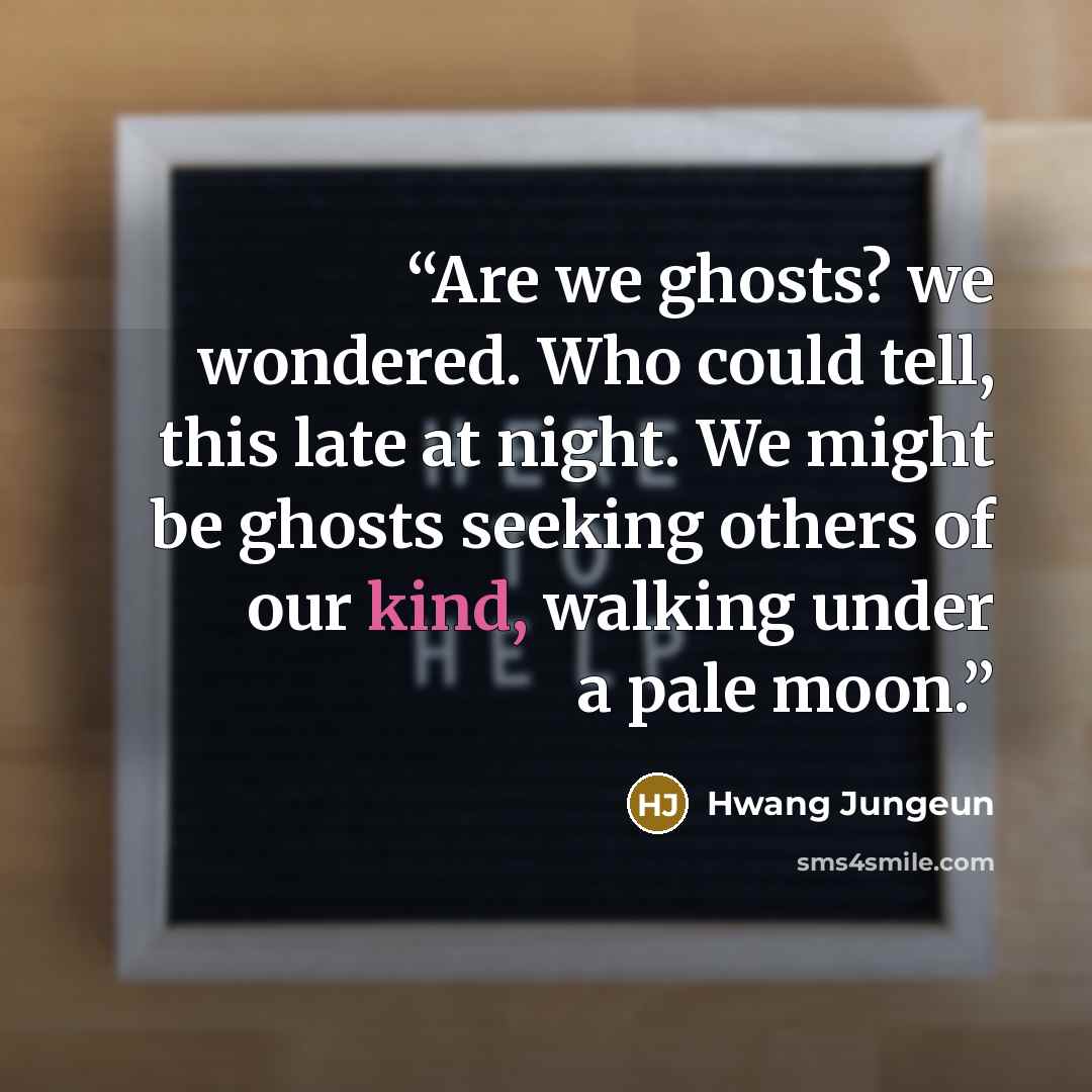 “Are we ghosts? we wondered. Who could tell, this late at night. We might be ghosts seeking others of our kind, walking under a pale moon.” quote by Hwang Jungeun