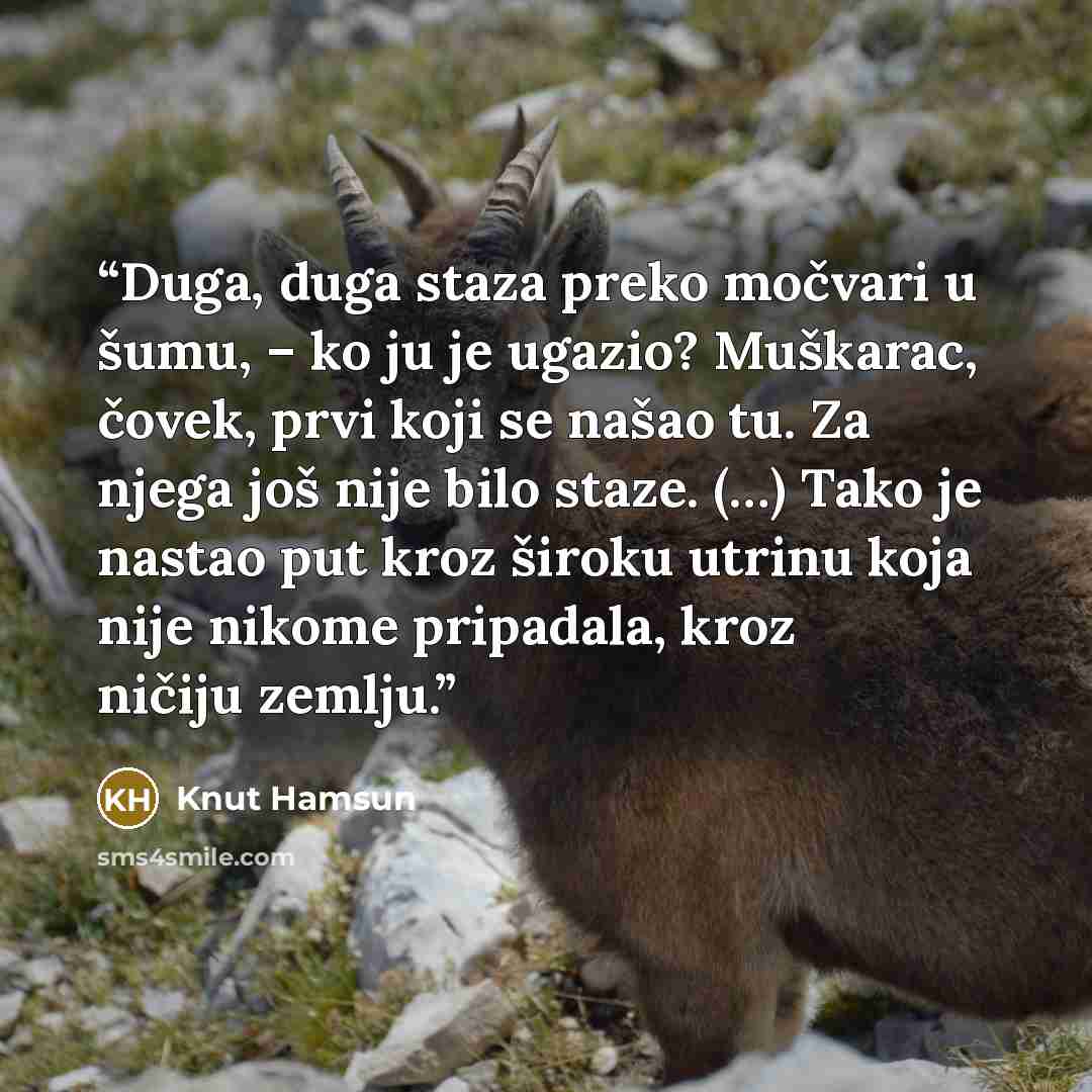 “Duga, duga staza preko močvari u šumu, – ko ju je ugazio? Muškarac, čovek, prvi koji se našao tu. Za njega još nije bilo staze. (…) Tako je nastao put kroz široku utrinu koja nije nikome pripadala, kroz ničiju zemlju.” quote by Knut Hamsun