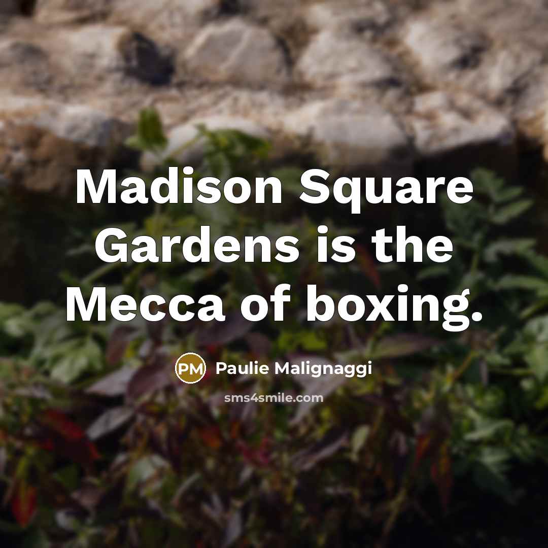 “Madison Square Gardens is the Mecca of boxing.…” quote by Paulie Malignaggi