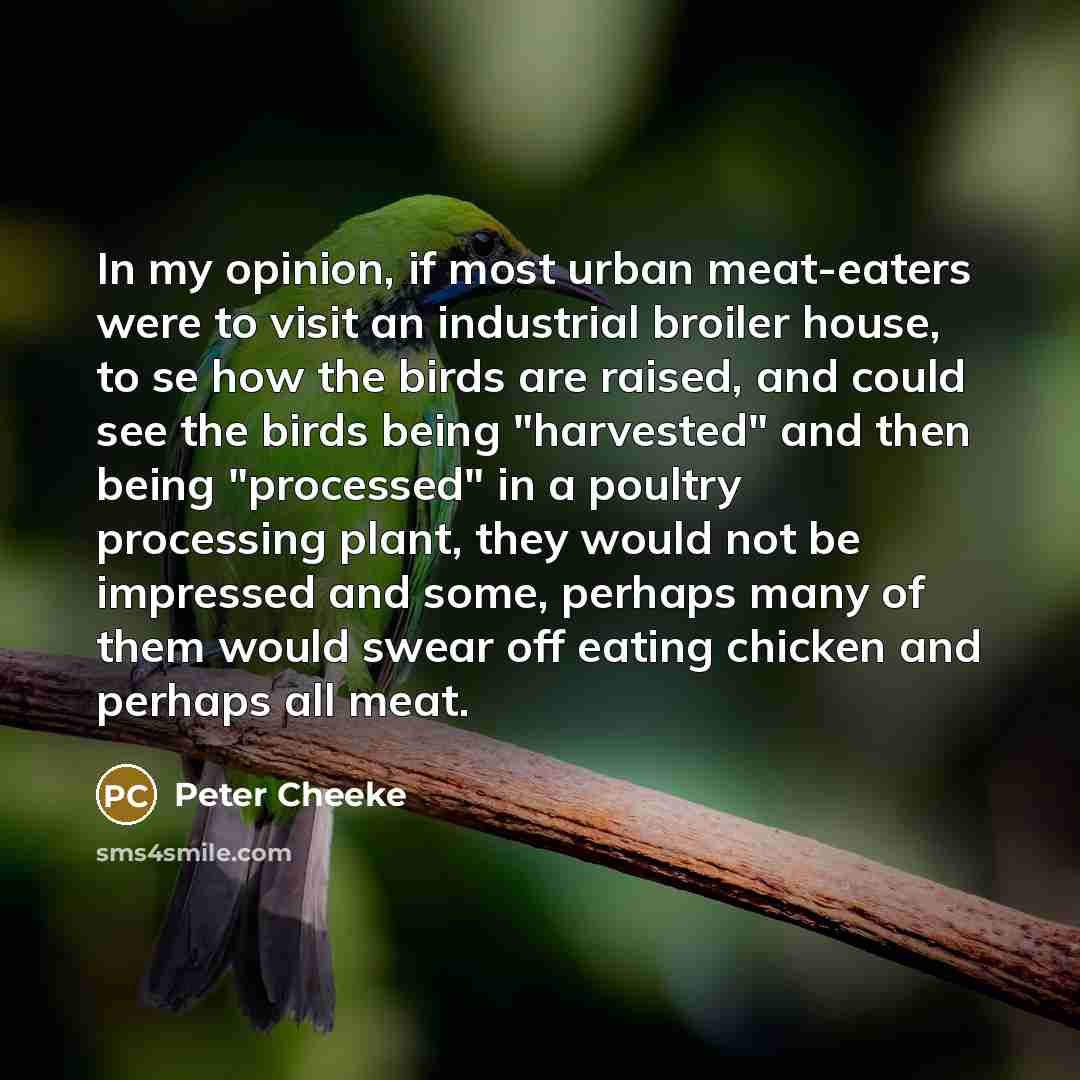 “In my opinion, if most urban meat-eaters were to visit…” quote by Peter Cheeke