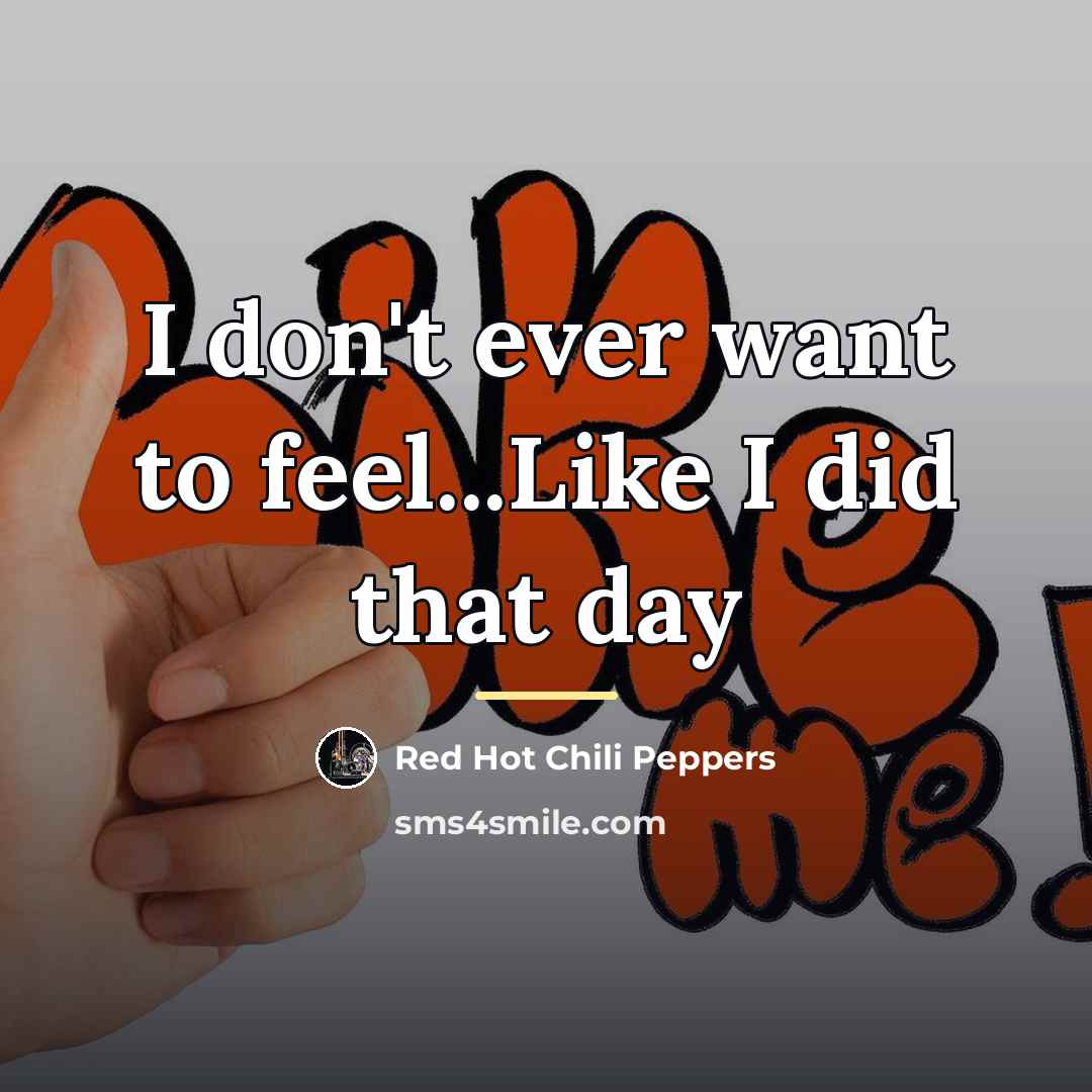 “I don't ever want to feel...Like I did that day…” quote by Red Hot Chili Peppers