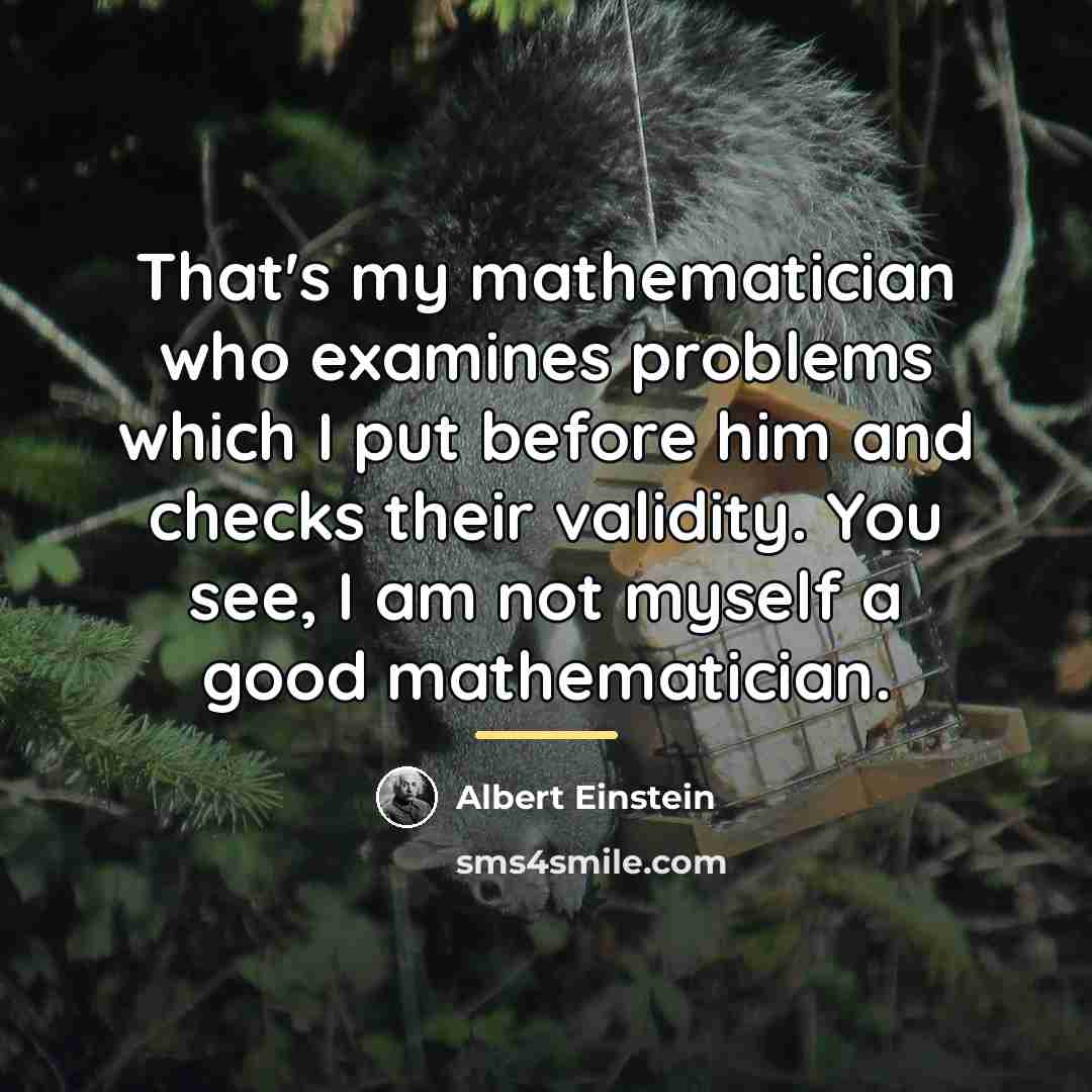 “That's my mathematician who examines problems which I put before…” quote by Albert Einstein
