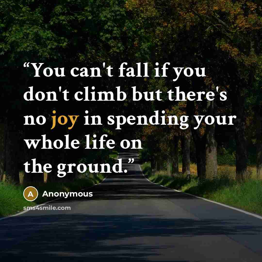 “You can't fall if you don't climb but there's no joy in spending your whole life on the ground.” quote by Anonymous