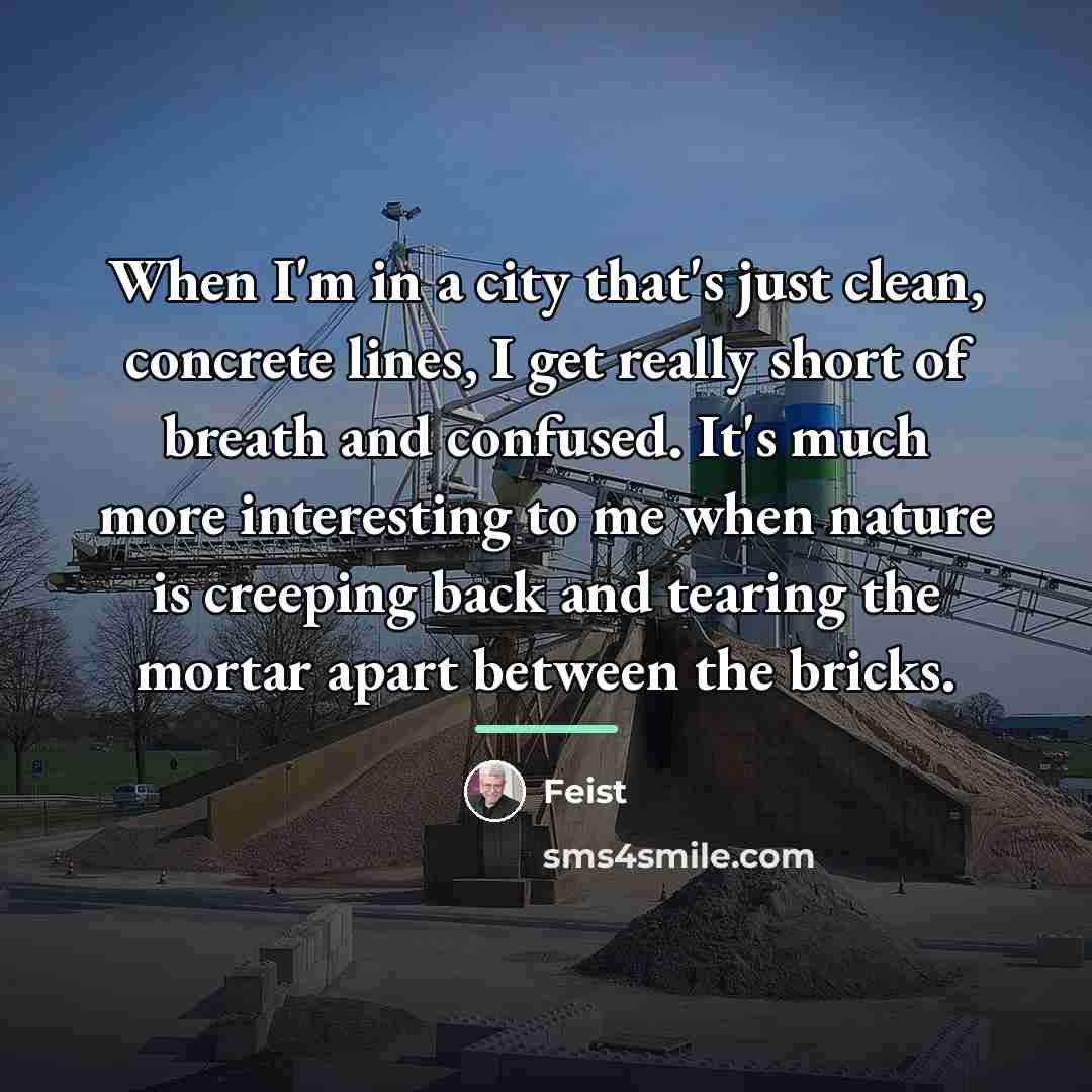 “When I'm in a city that's just clean, concrete lines,…” quote by Feist