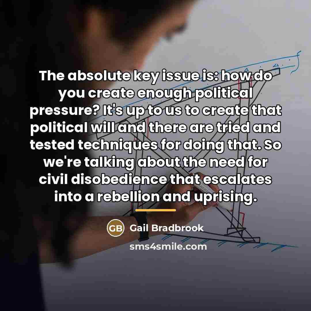 “The absolute key issue is: how do you create enough…” quote by Gail Bradbrook