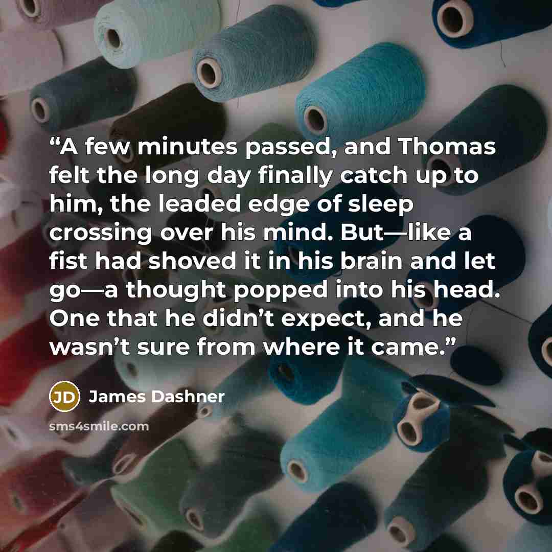 “A few minutes passed, and Thomas felt the long day finally catch up to him, the leaded edge of sleep crossing over his mind. But—like a fist had shoved it in his brain and let go—a thought popped into his head. One that he didn’t expect, and he wasn’t sure from where it came.” quote by James Dashner