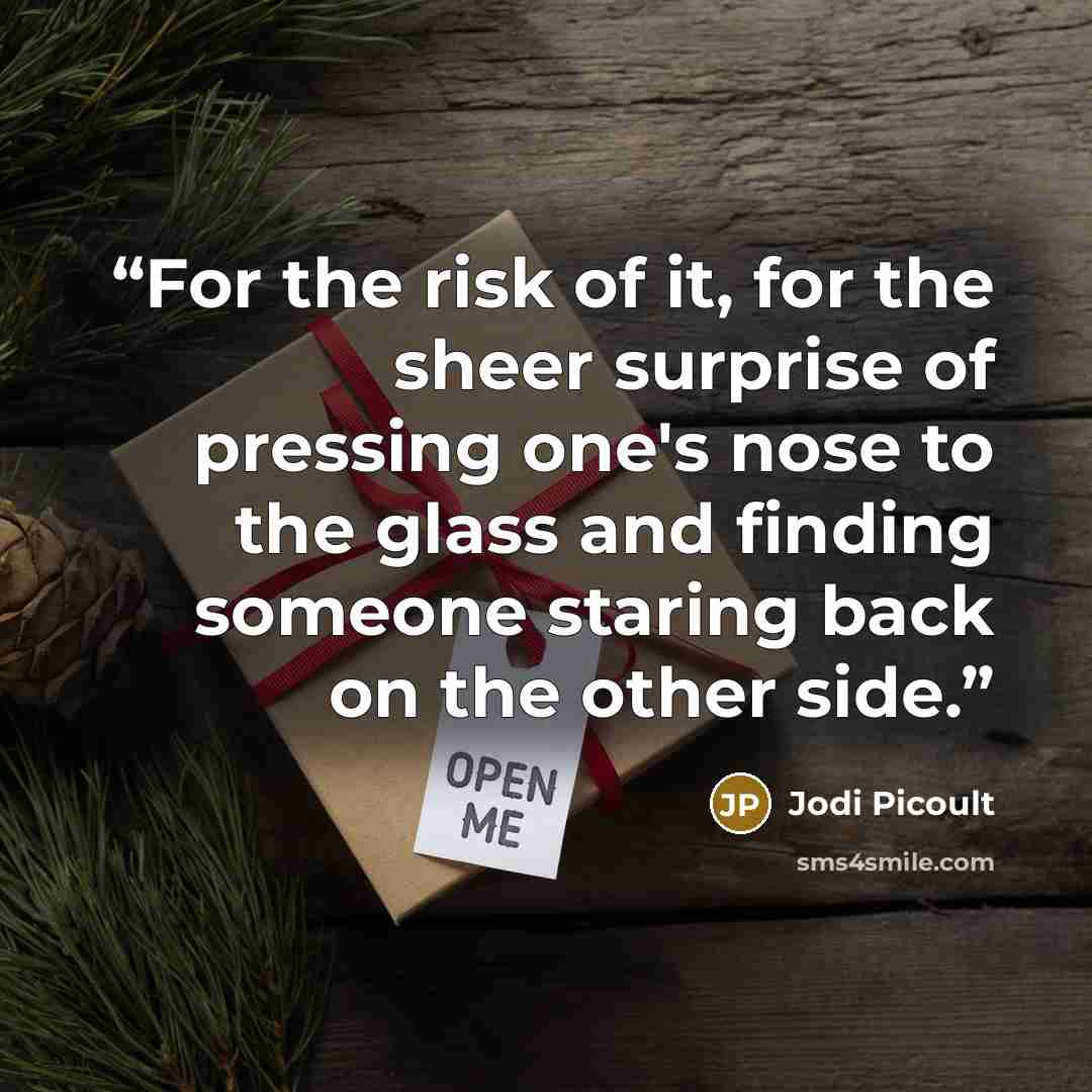 “For the risk of it, for the sheer surprise of pressing one's nose to the glass and finding someone staring back on the other side.” quote by Jodi Picoult