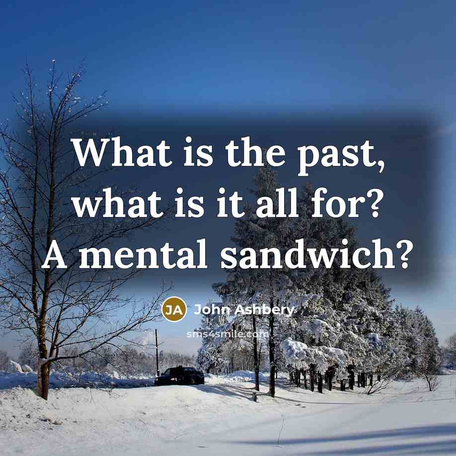 “What is the past, what is it all for? A mental sandwich?” quote by John Ashbery