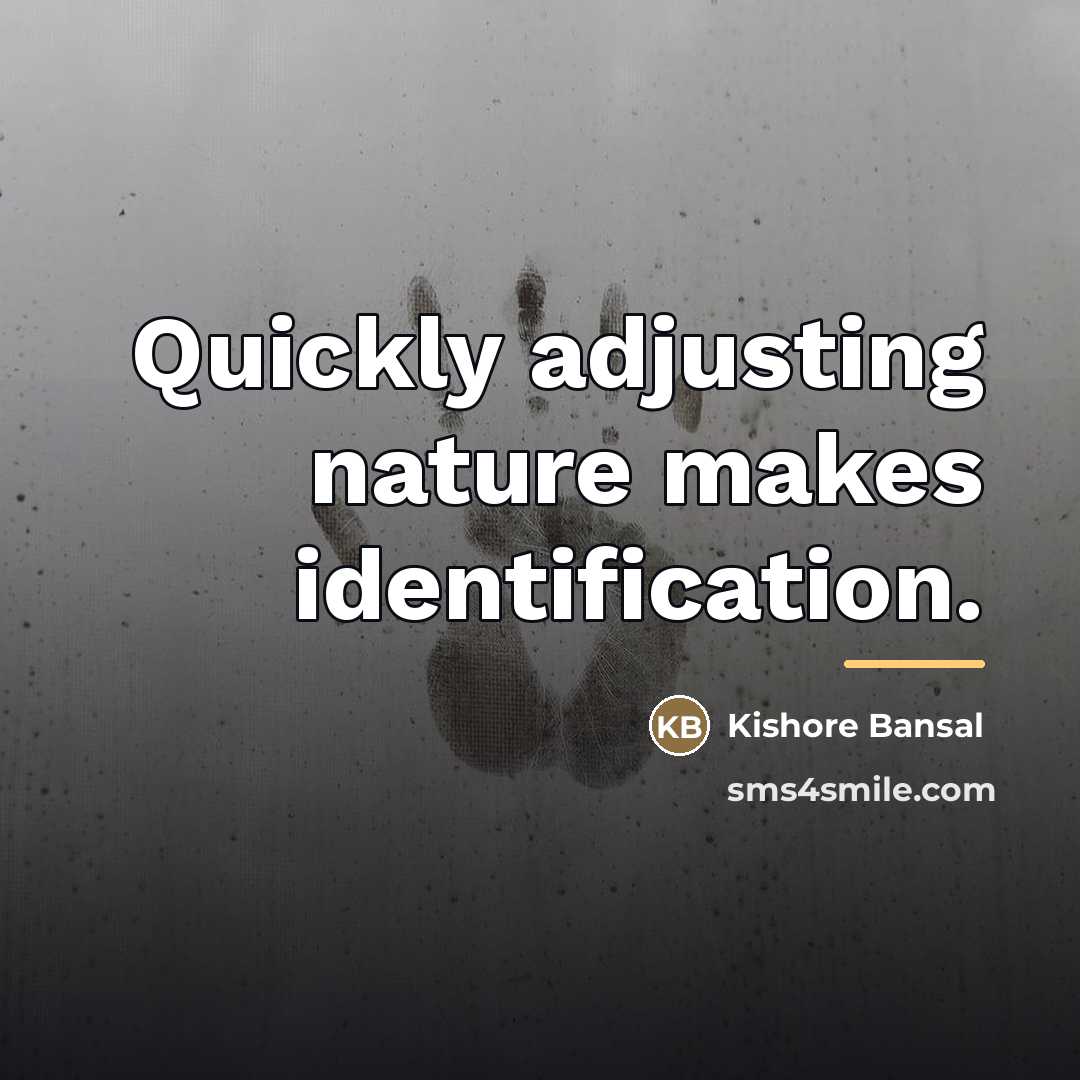 “Quickly adjusting nature makes identification.…” quote by Kishore Bansal