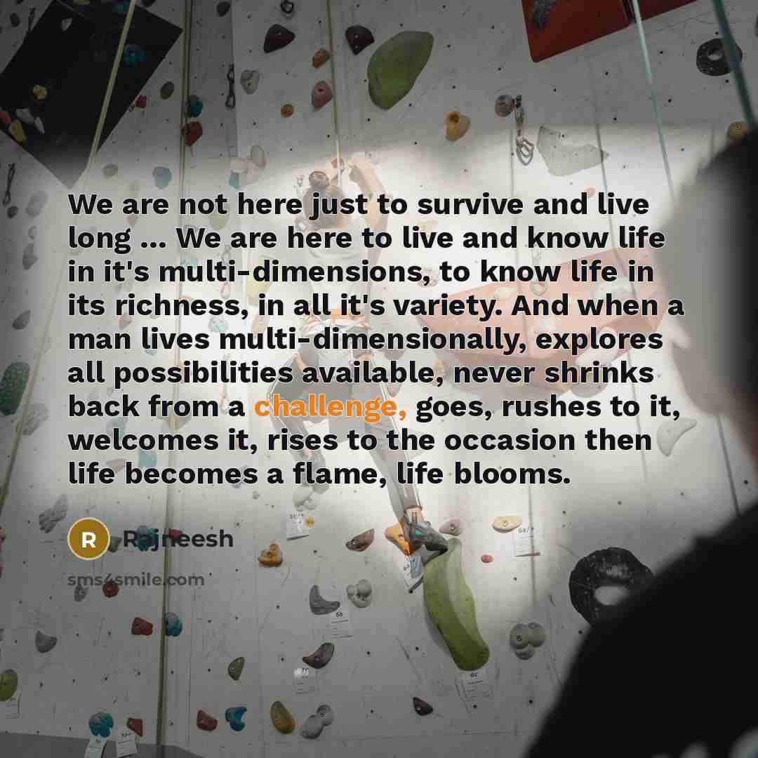 “We are not here just to survive and live long…” quote by Rajneesh