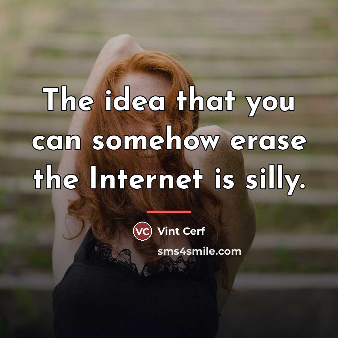 “The idea that you can somehow erase the Internet is…” quote by Vint Cerf