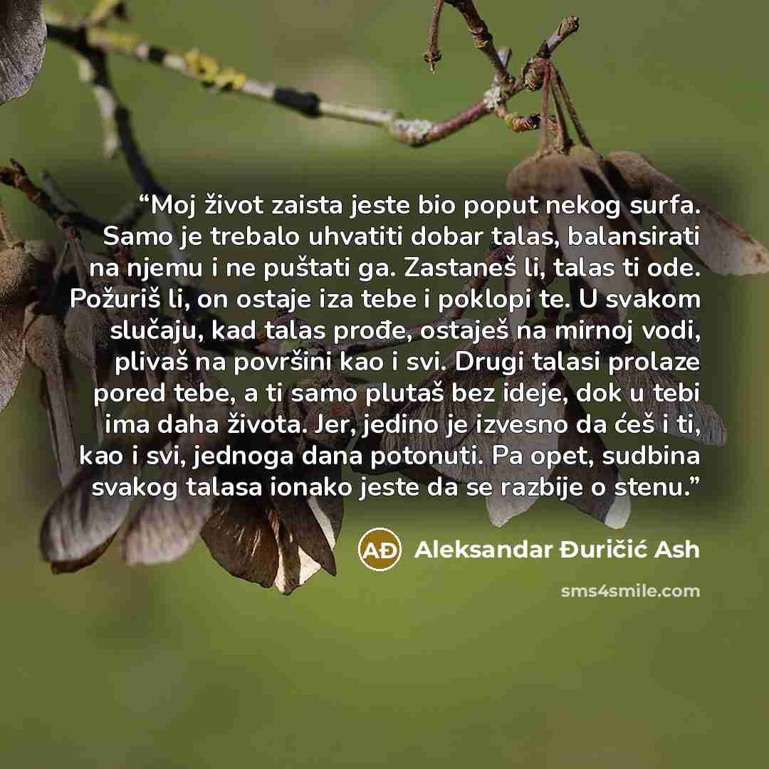 “Moj život zaista jeste bio poput nekog surfa. Samo je trebalo uhvatiti dobar talas, balansirati na njemu i ne puštati ga. Zastaneš li, talas ti ode. Požuriš li, on ostaje iza tebe i poklopi te. U svakom slučaju, kad talas prođe, ostaješ na mirnoj vodi, plivaš na površini kao i svi. Drugi talasi…” quote by Aleksandar Đuričić Ash