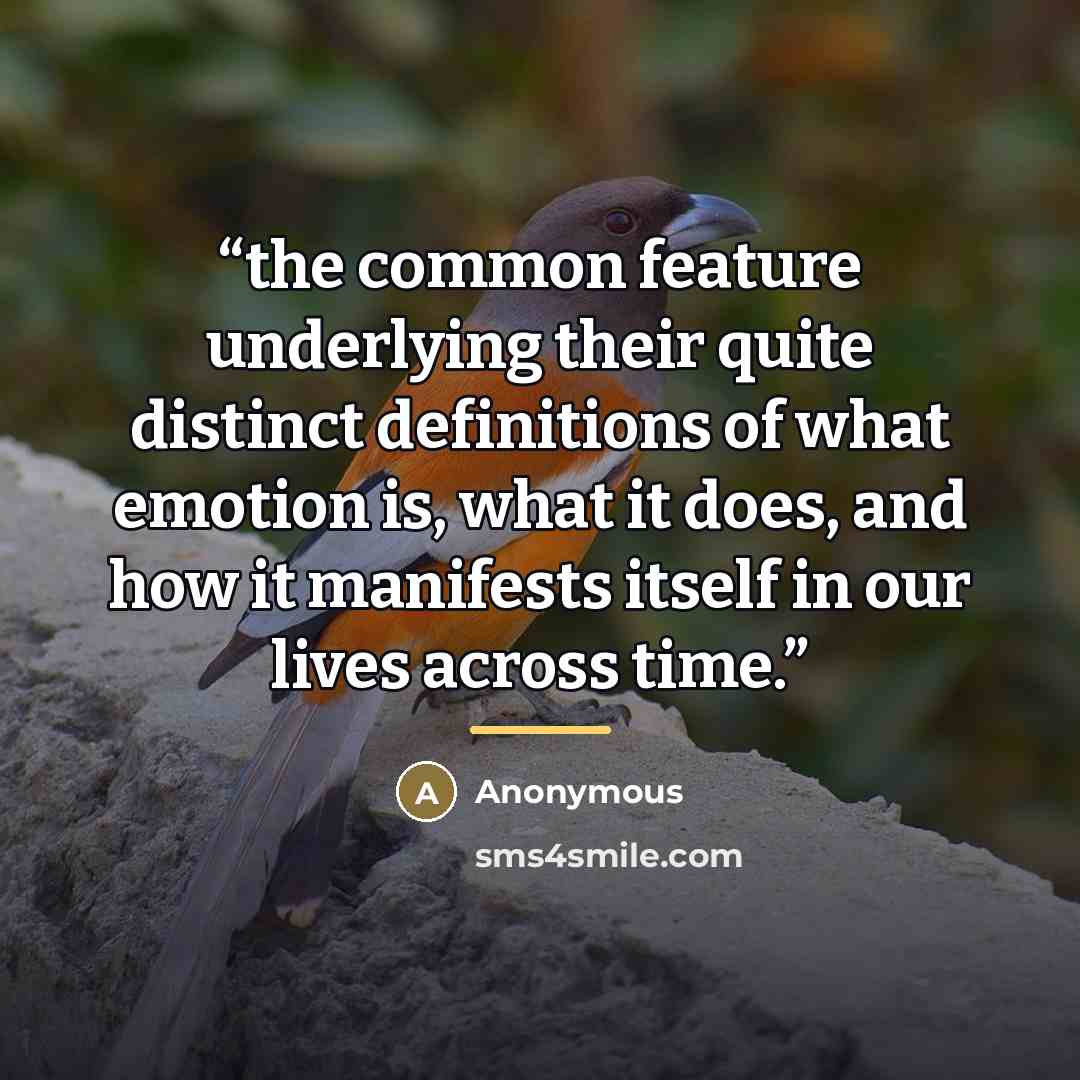 “the common feature underlying their quite distinct definitions of what emotion is, what it does, and how it manifests itself in our lives across time.” quote by Anonymous