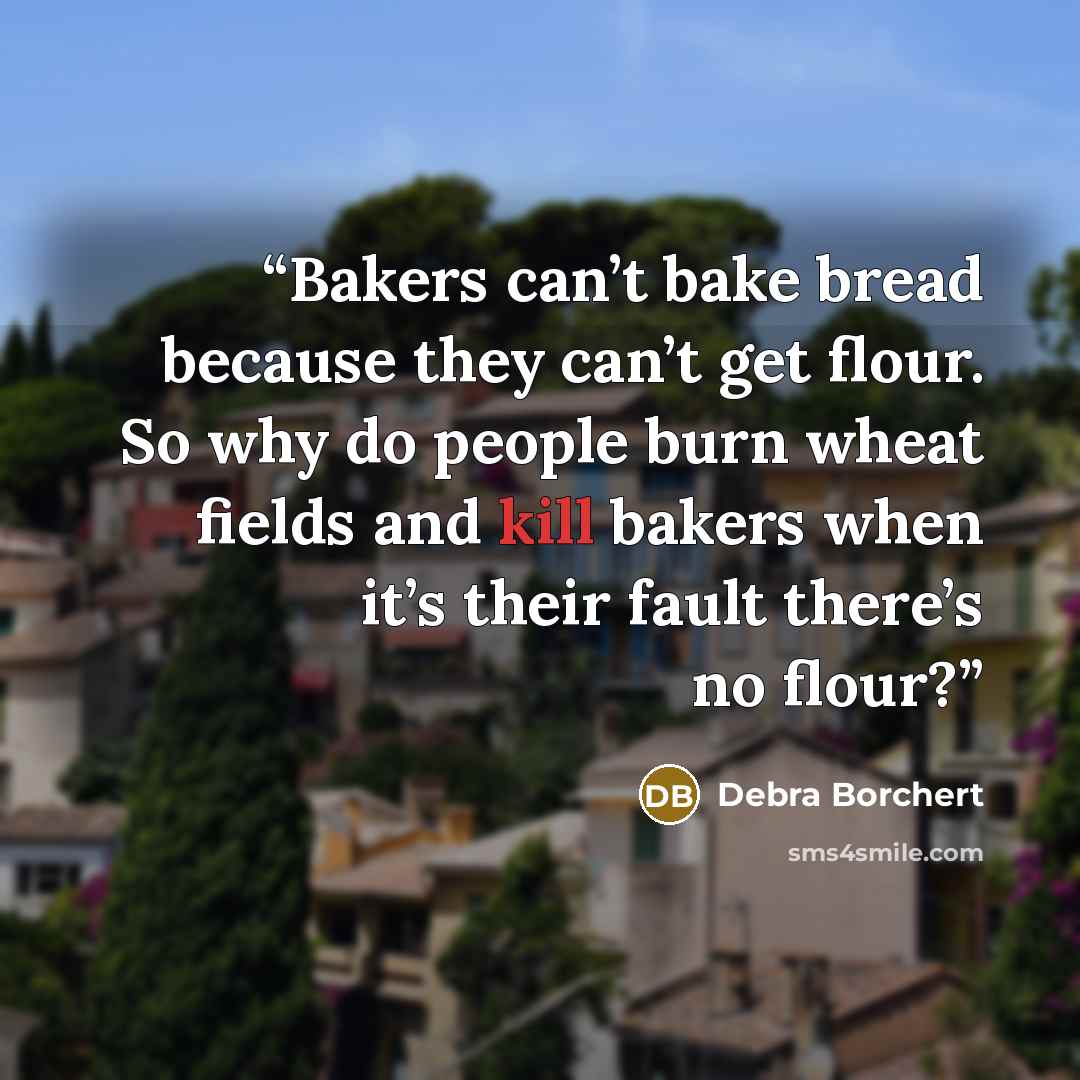 “Bakers can’t bake bread because they can’t get flour. So why do people burn wheat fields and kill bakers when it’s their fault there’s no flour?” quote by Debra Borchert