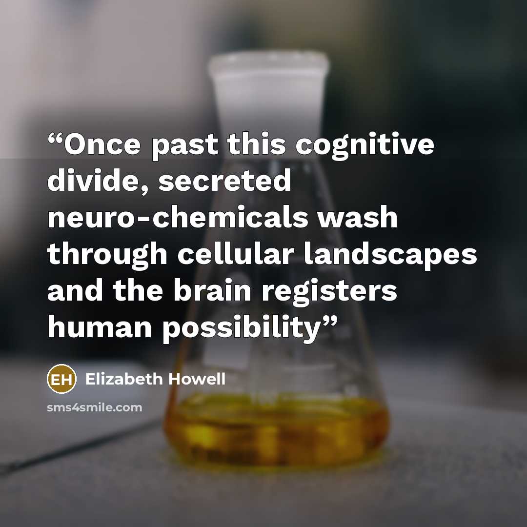 “Once past this cognitive divide, secreted neuro-chemicals wash through cellular landscapes and the brain registers human possibility” quote by Elizabeth Howell