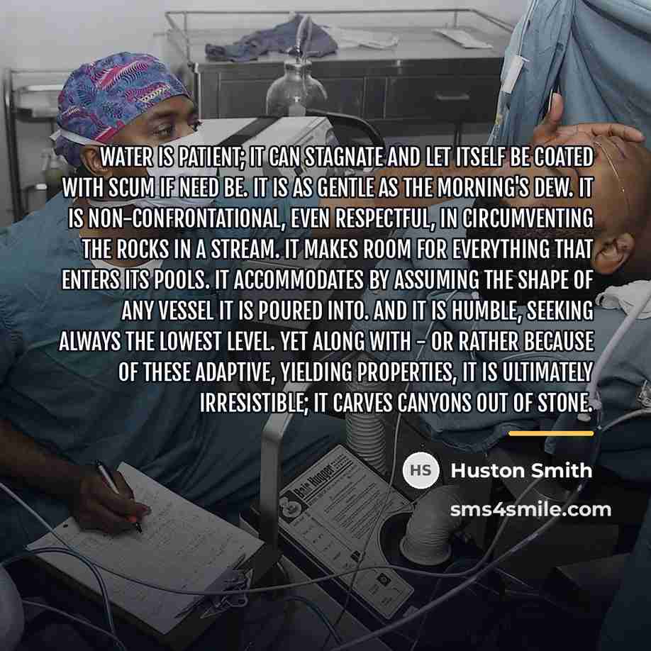 “Water is patient; it can stagnate and let itself be…” quote by Huston Smith