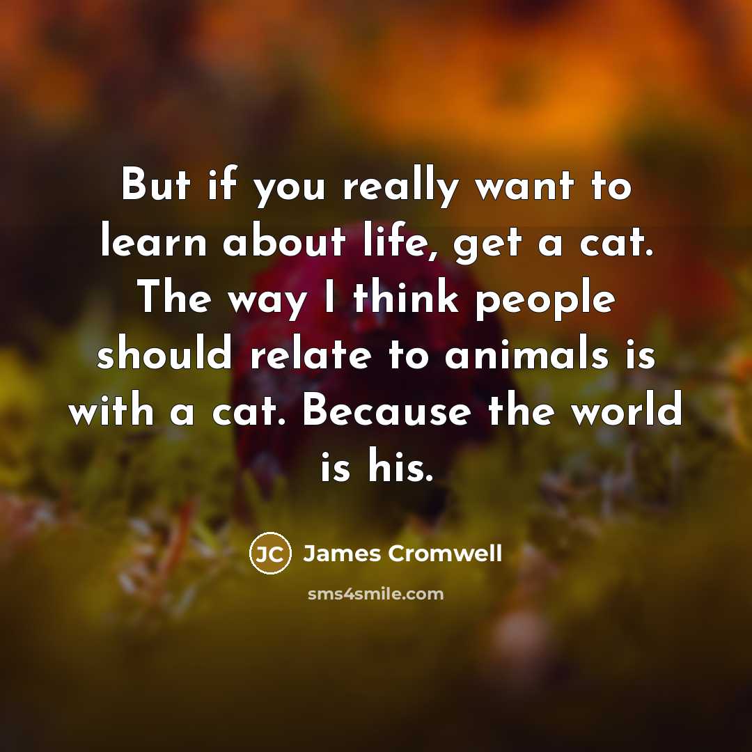 “But if you really want to learn about life, get…” quote by James Cromwell