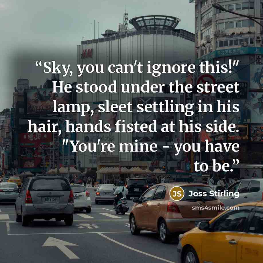 “Sky, you can't ignore this!" He stood under the street lamp, sleet settling in his hair, hands fisted at his side. "You're mine - you have to be.” quote by Joss Stirling