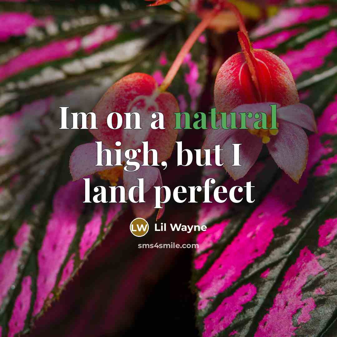 “Im on a natural high, but I land perfect” quote by Lil Wayne