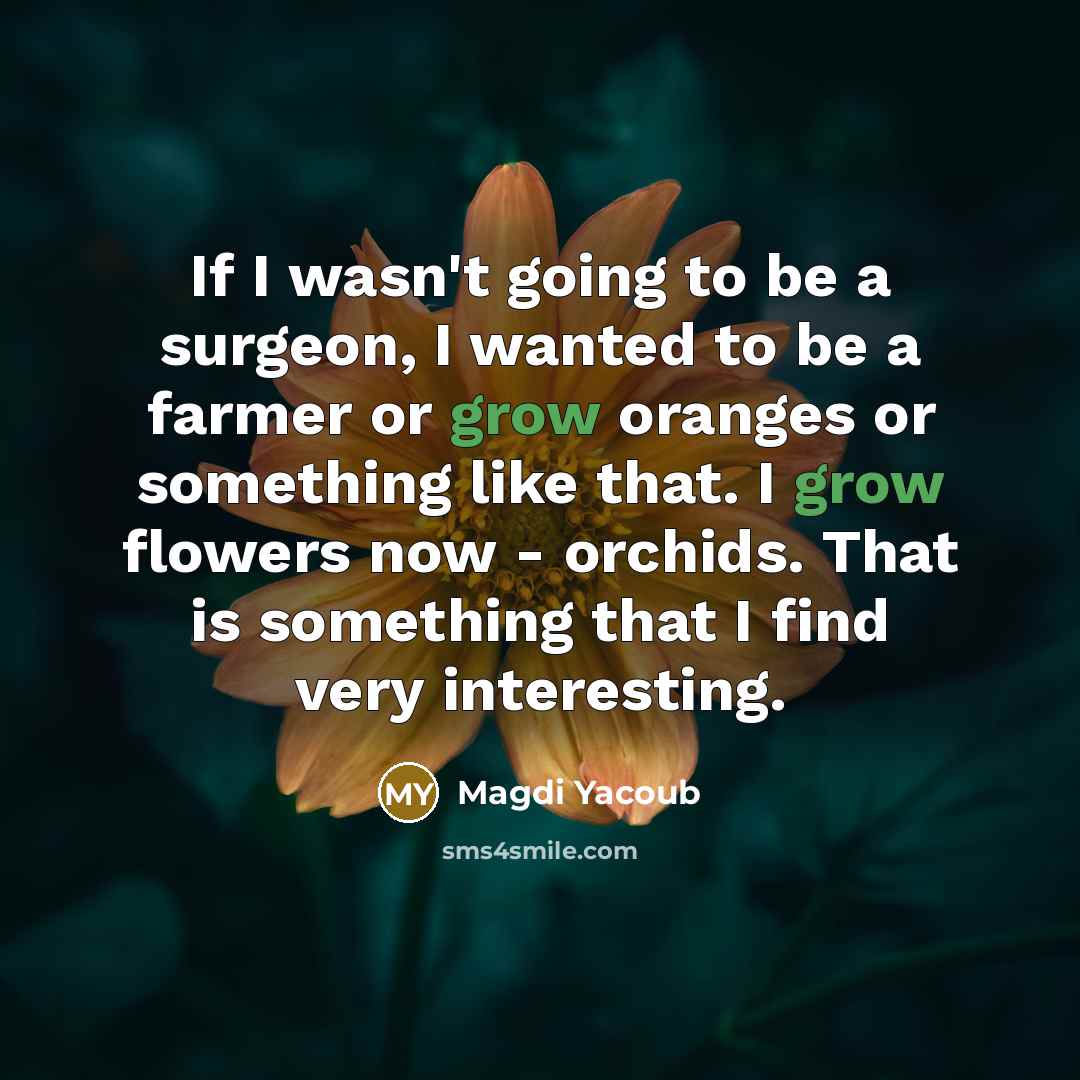 “If I wasn't going to be a surgeon, I wanted…” quote by Magdi Yacoub
