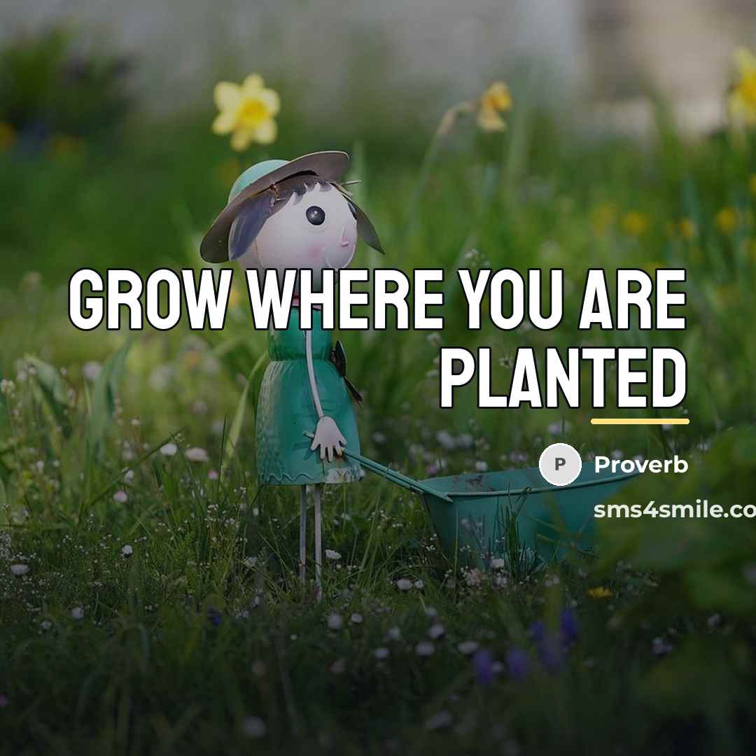 “Grow where you are planted…” quote by Proverb