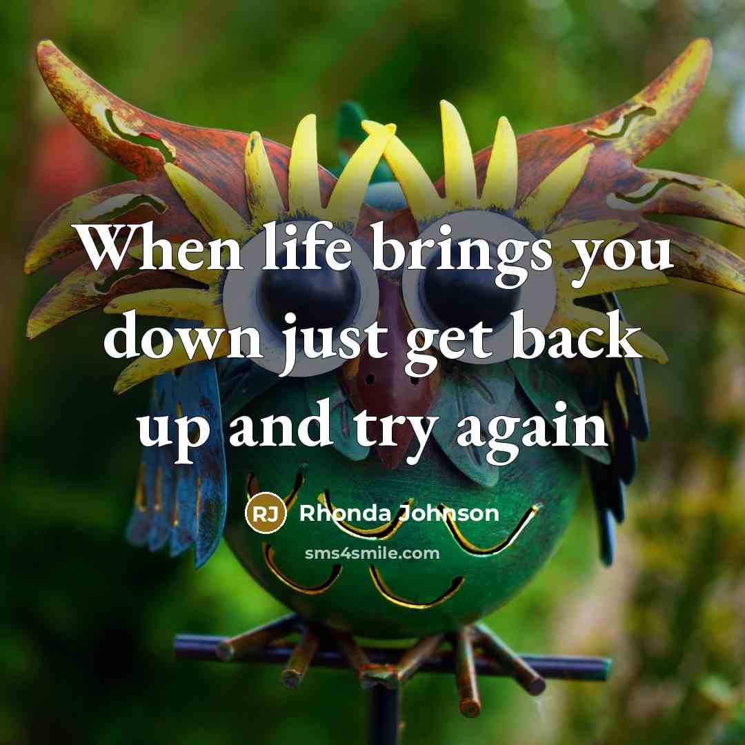 “When life brings you down just get back up and try again” quote by Rhonda Johnson