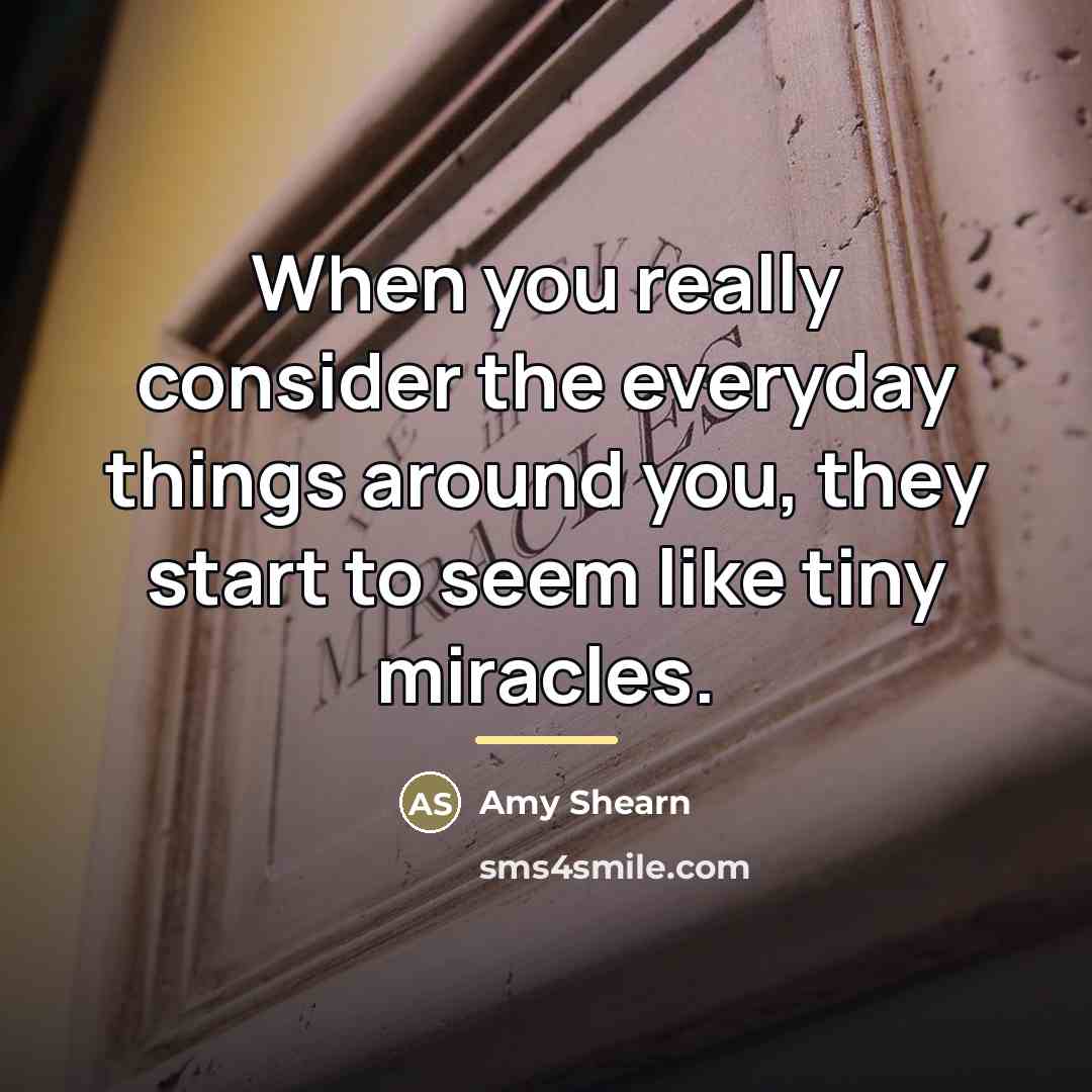 “When you really consider the everyday things around you, they…” quote by Amy Shearn