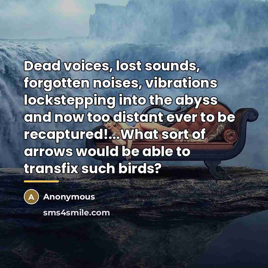 “Dead voices, lost sounds, forgotten noises, vibrations lockstepping into the…” quote by Anonymous