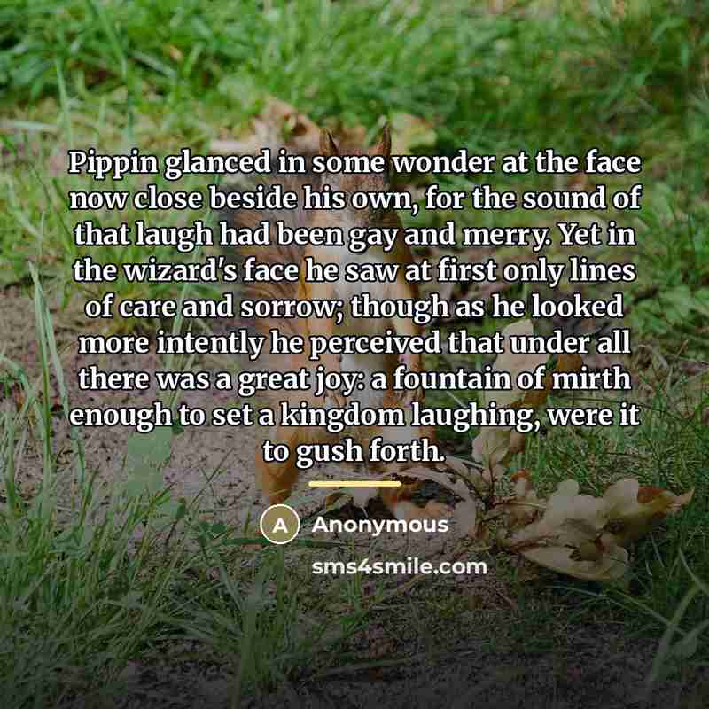 “Pippin glanced in some wonder at the face now close…” quote by Anonymous