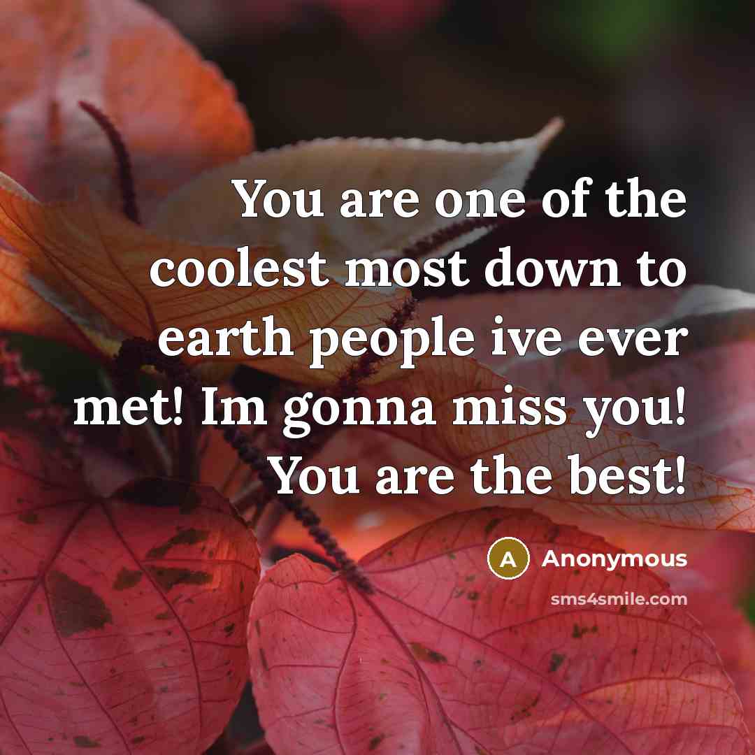 “You are one of the coolest most down to earth…” quote by Anonymous