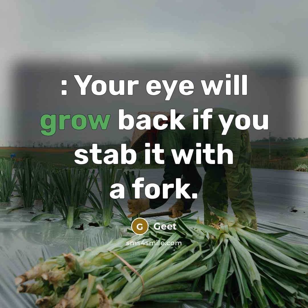 “: Your eye will grow back if you stab it with a fork.” quote by Geet