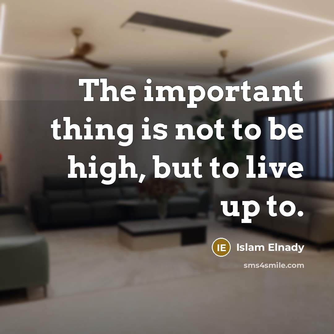 “The important thing is not to be high, but to…” quote by Islam Elnady