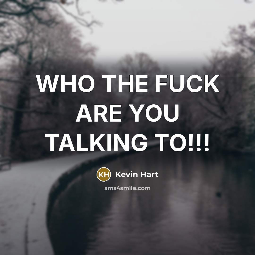 “WHO THE FUCK ARE YOU TALKING TO!!!…” quote by Kevin Hart