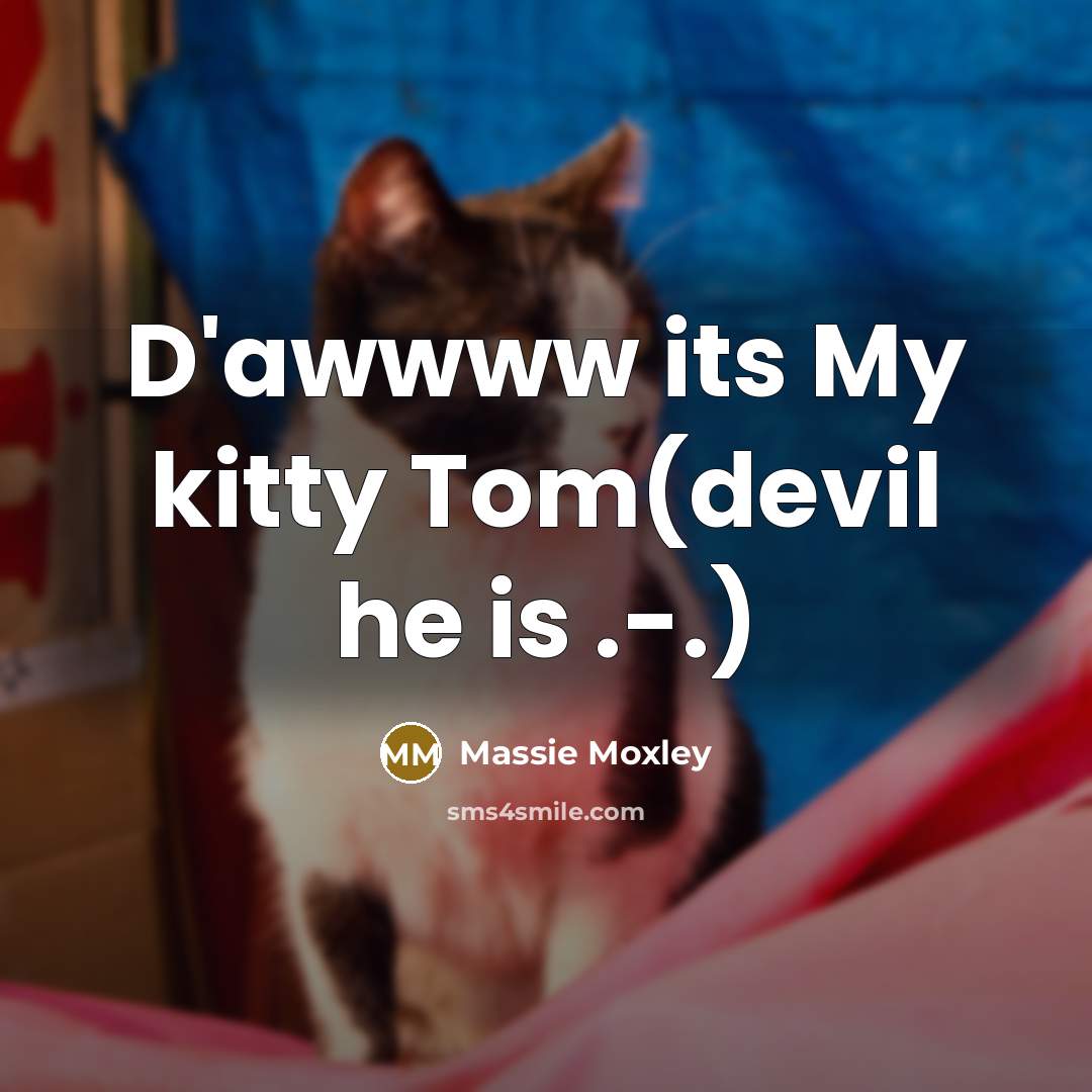 “D'awwww its My kitty Tom(devil he is .-.)” quote by Massie Moxley