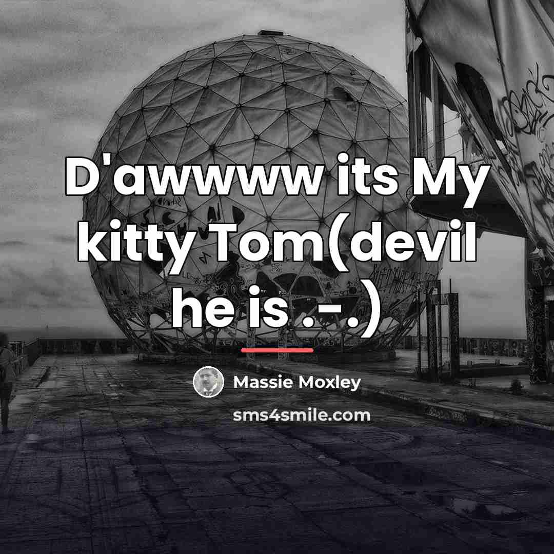 “D'awwww its My kitty Tom(devil he is .-.)…” quote by Massie Moxley