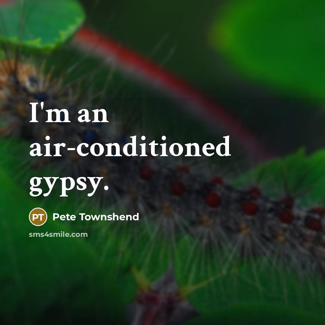 “I'm an air-conditioned gypsy.…” quote by Pete Townshend