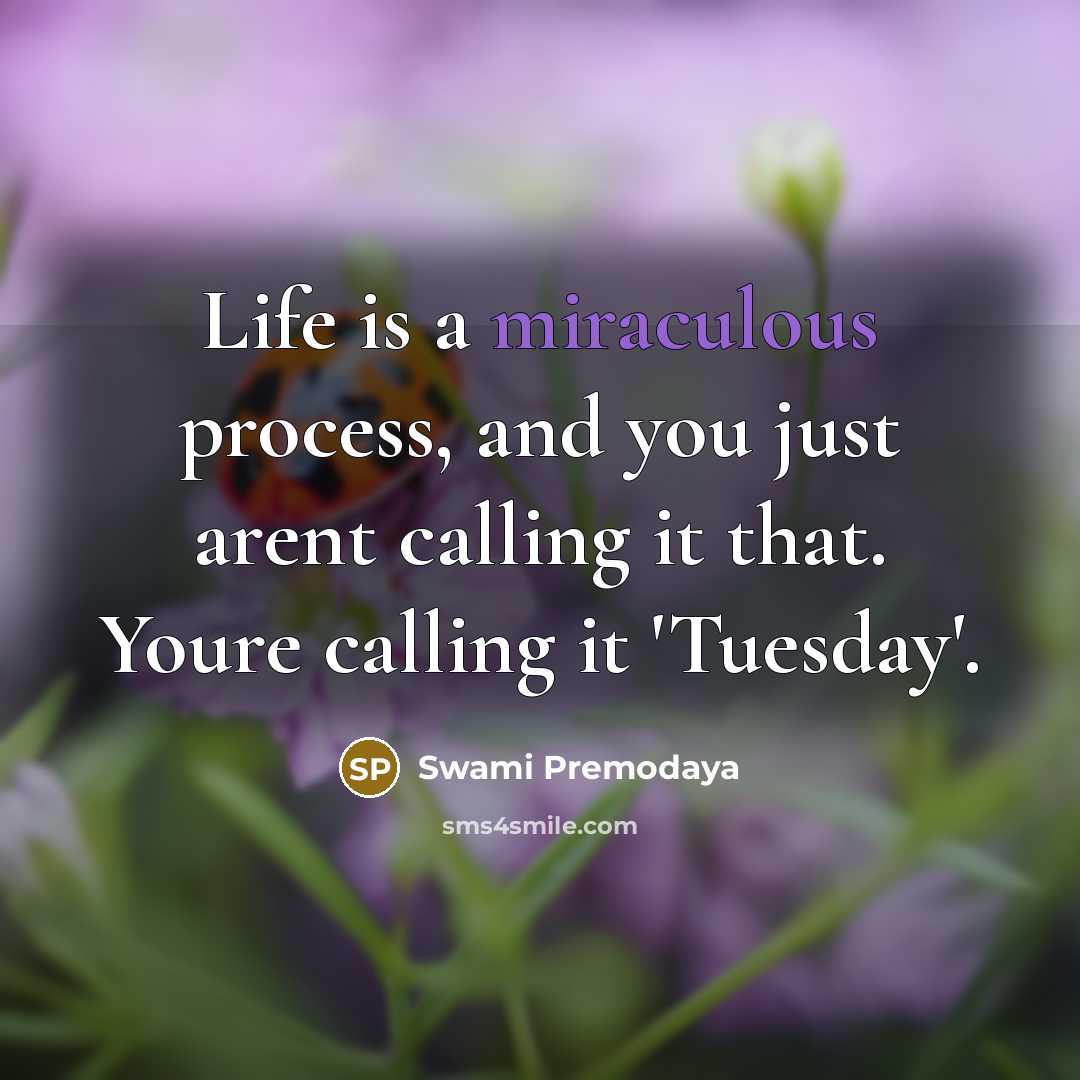 “Life is a miraculous process, and you just arent calling…” quote by Swami Premodaya