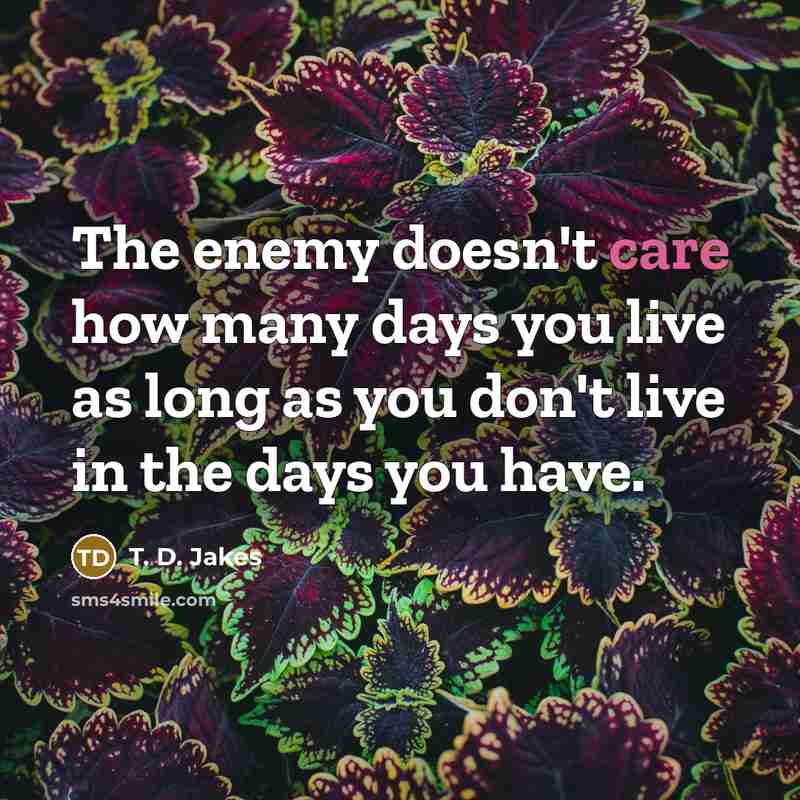 “The enemy doesn't care how many days you live as…” quote by T. D. Jakes