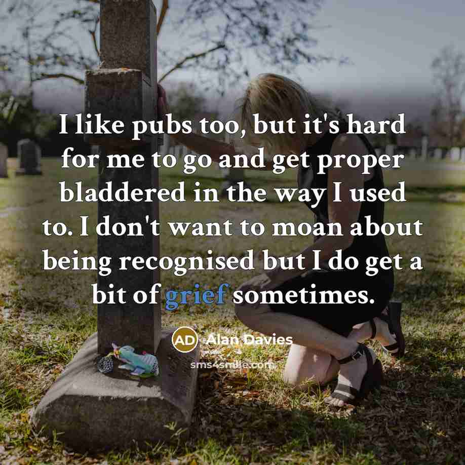“I like pubs too, but it's hard for me to…” quote by Alan Davies
