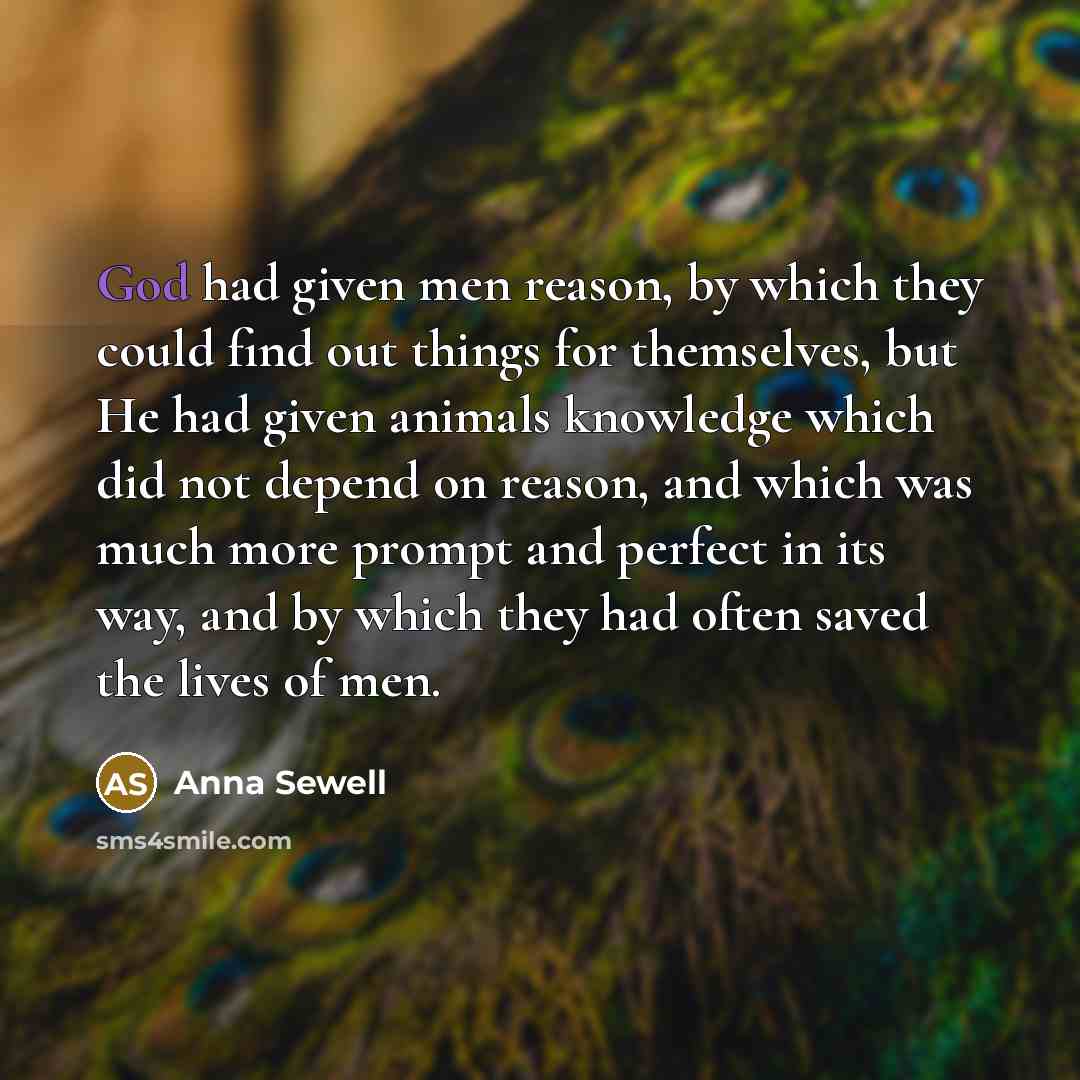 “God had given men reason, by which they could find…” quote by Anna Sewell