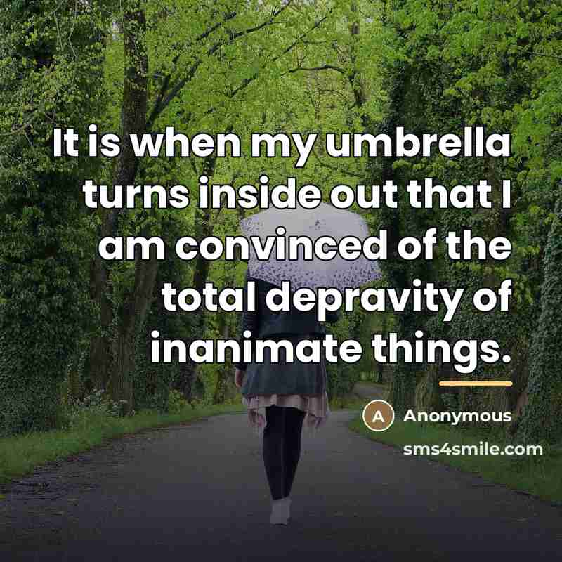 “It is when my umbrella turns inside out that I…” quote by Anonymous